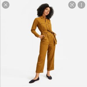Everlane The Modern Utility Jumpsuit
